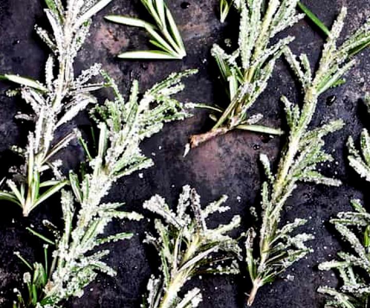 quick and easy Candied Rosemary recipe